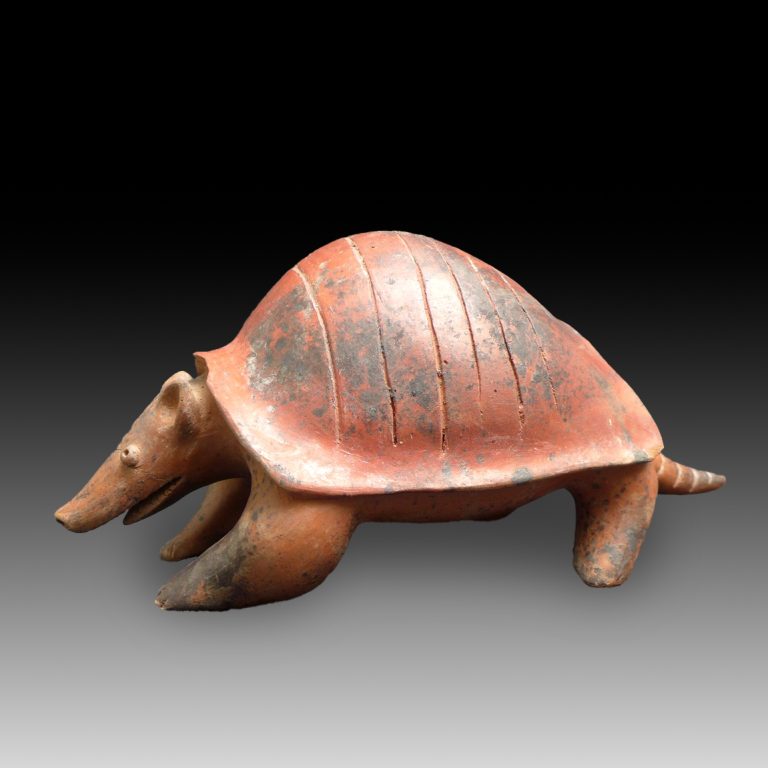 A Colima armadillo