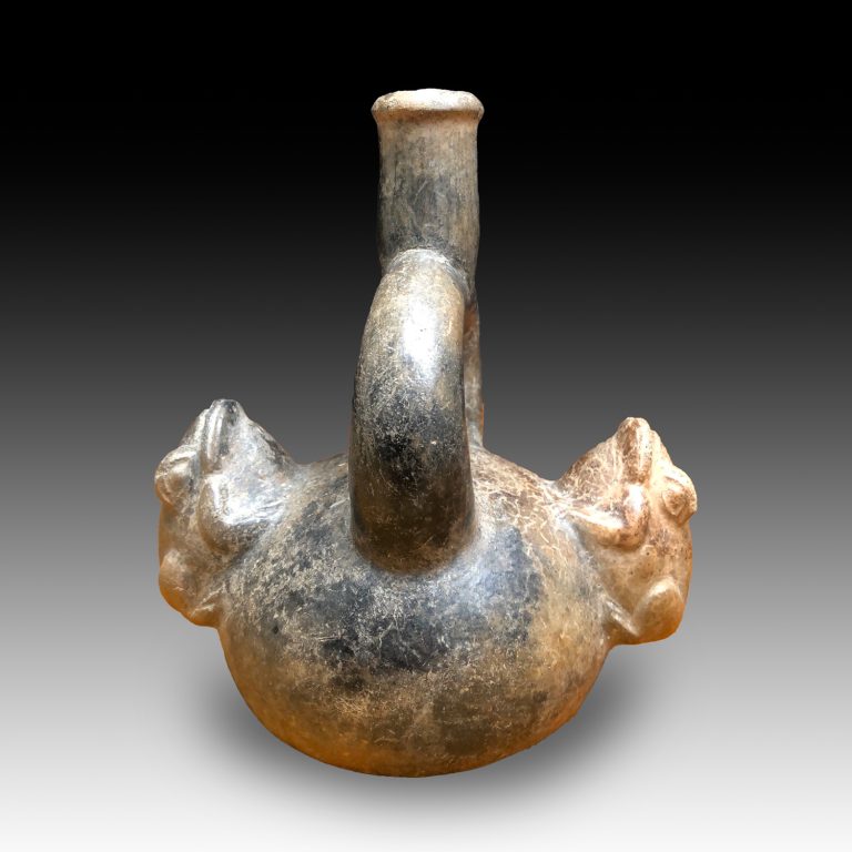 A Moche vessel with frogs